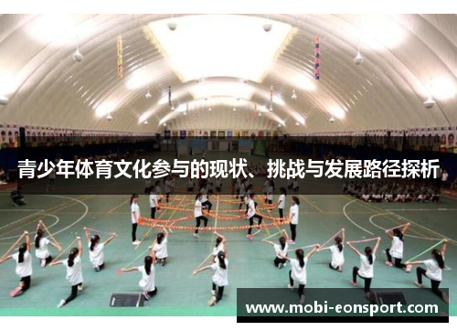 青少年体育文化参与的现状、挑战与发展路径探析